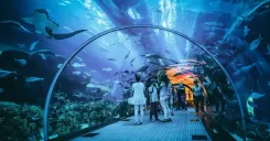 Jakarta Aquarium Admission Ticket